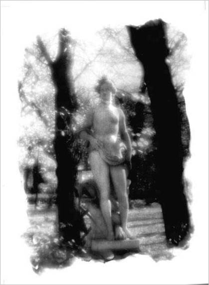 Krása. Ze série Letní zahrada. 1996