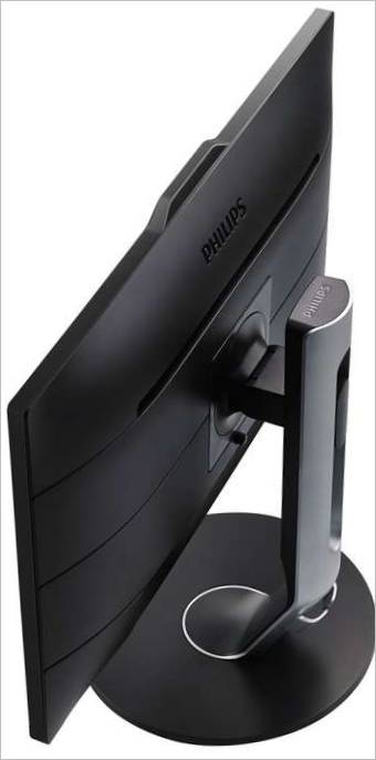 Monitory