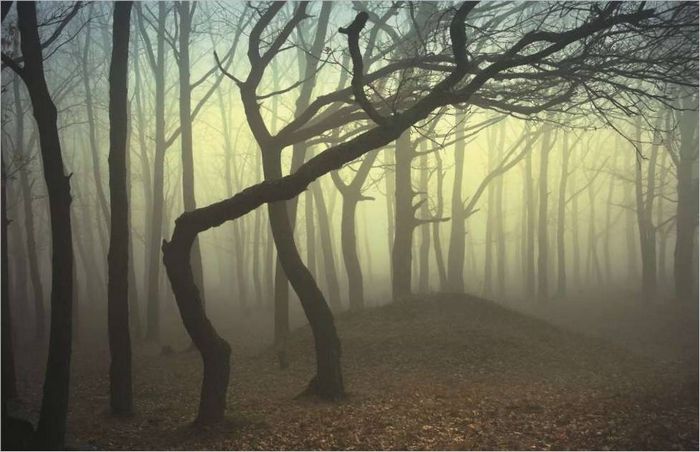 Fotografické vybavení